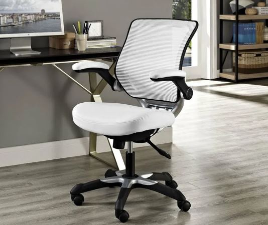  The Purchase Price of tall office chairs + Training 