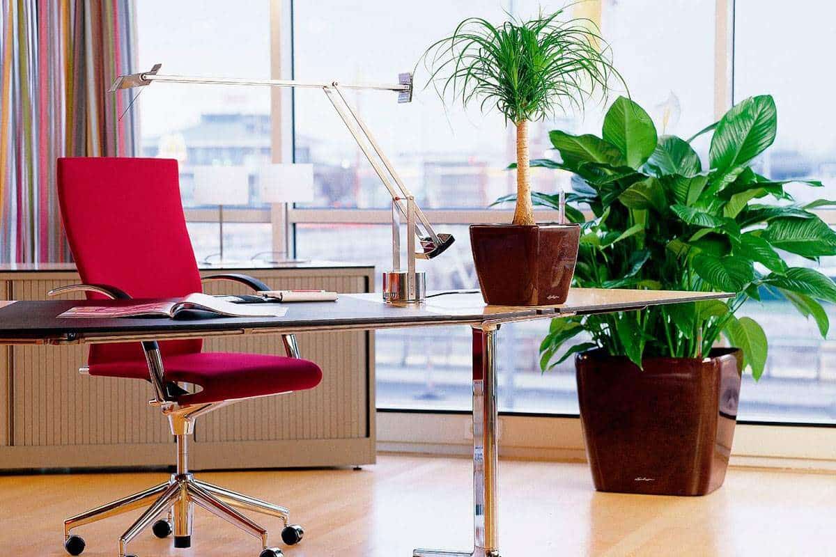  Office Chair Mumbai; Ergonomic Back Adjustable Job Efficiency Enhancer 